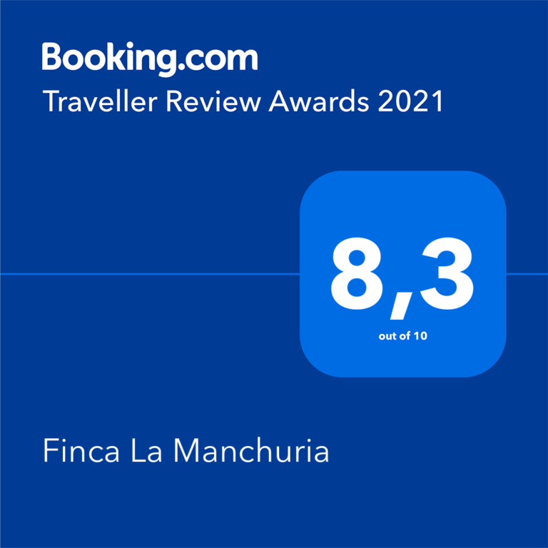 Booking Traveller Review Award 2021