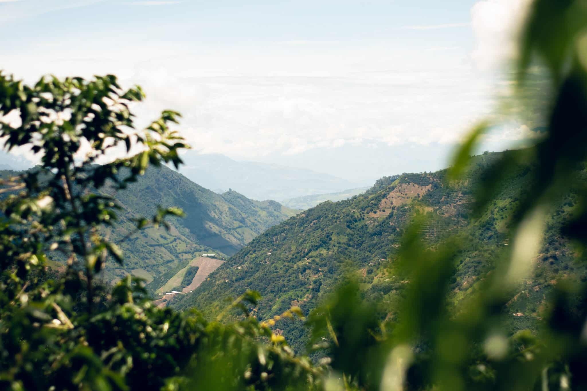 Galería Finca La Manchuria 3